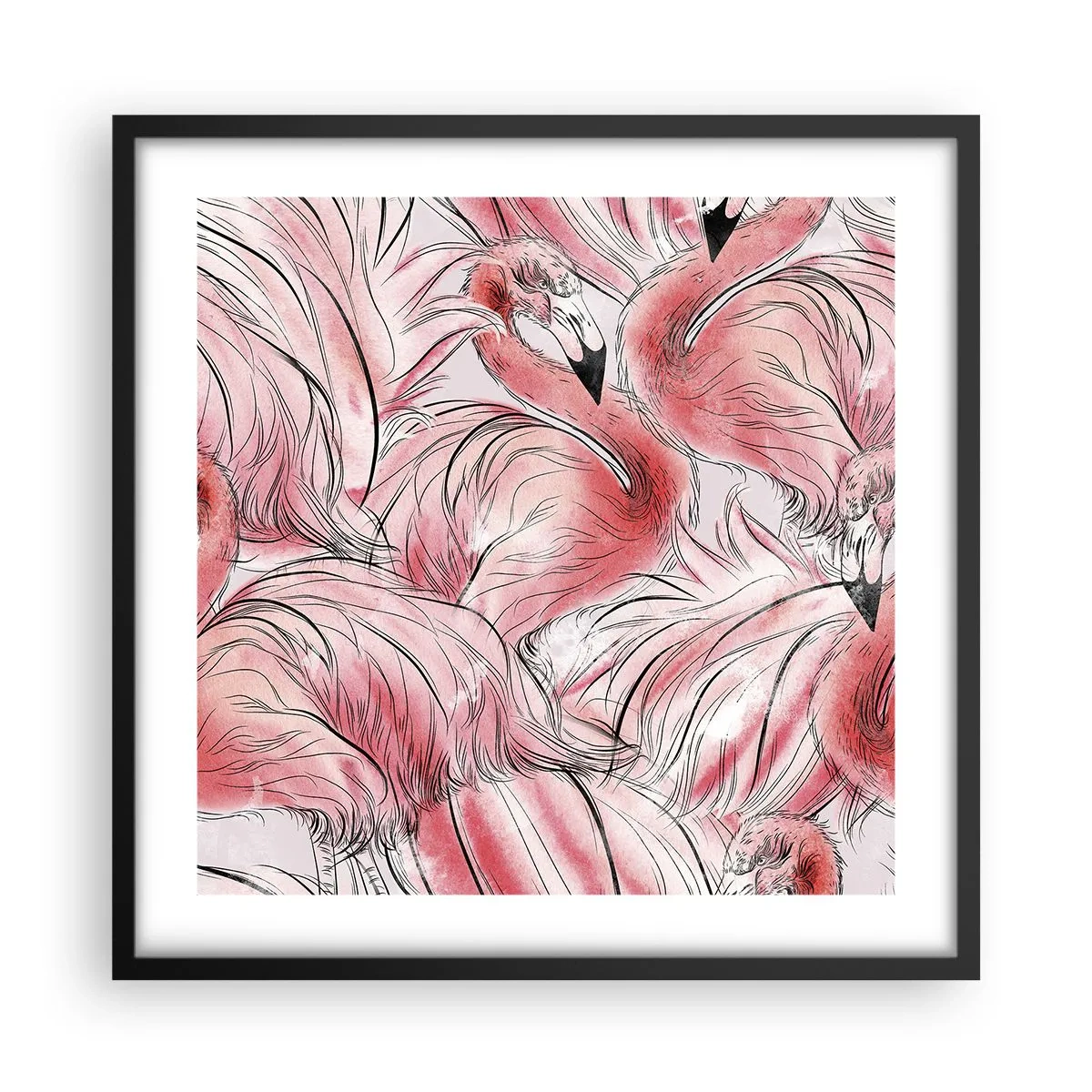 Plakat w czarnej ramie - Ptasi corps de ballet - 50x50 cm