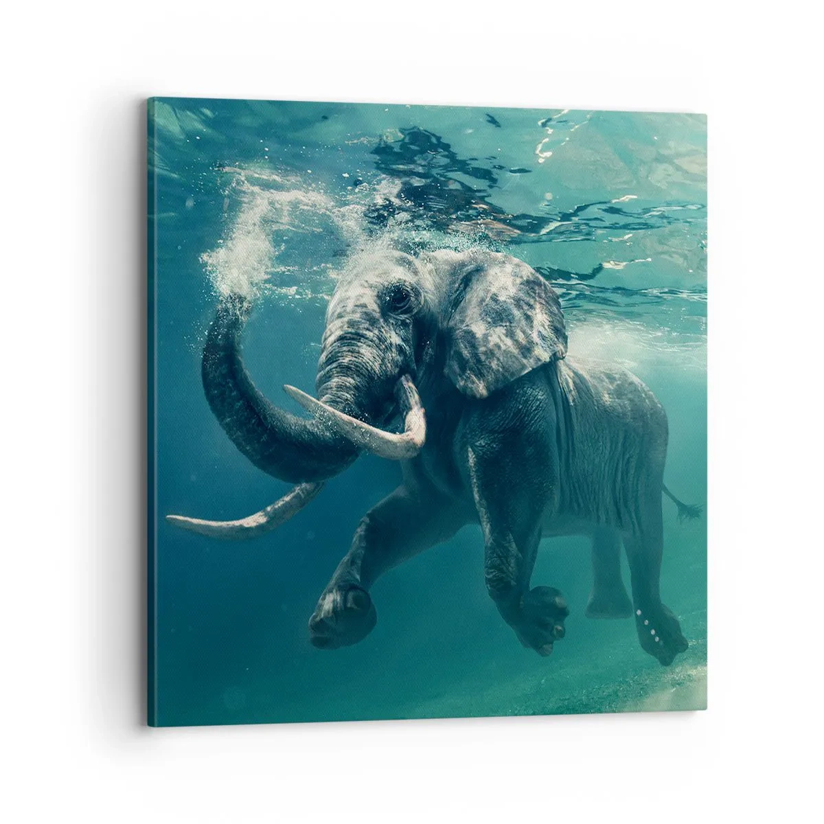 Obraz na płótnie - Wszyscy lubią pływać - 70x70 cm