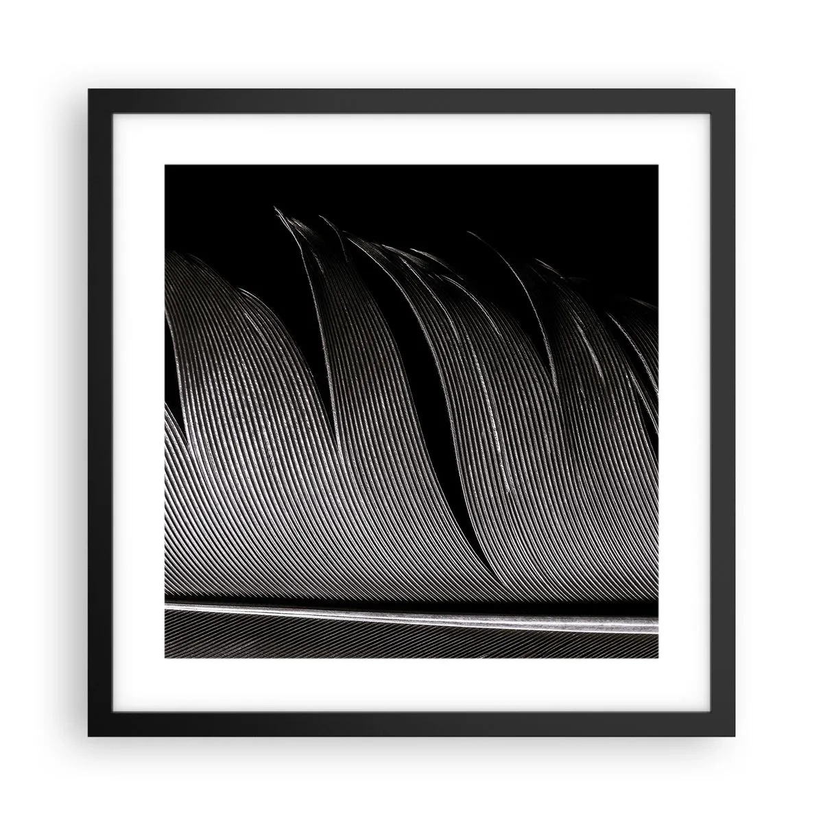 Plakat w czarnej ramie - Pióro – cudowna konstrukcja - 40x40 cm