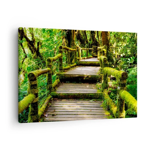 Obraz na płótnie - Drewniany most porośnięty mchem w tropikalnym lesie deszczowym - 70x50cm - Korytarzem zieleni - Nowoczesna dekoracja ścienna do salonu i sypialni ARTTOR