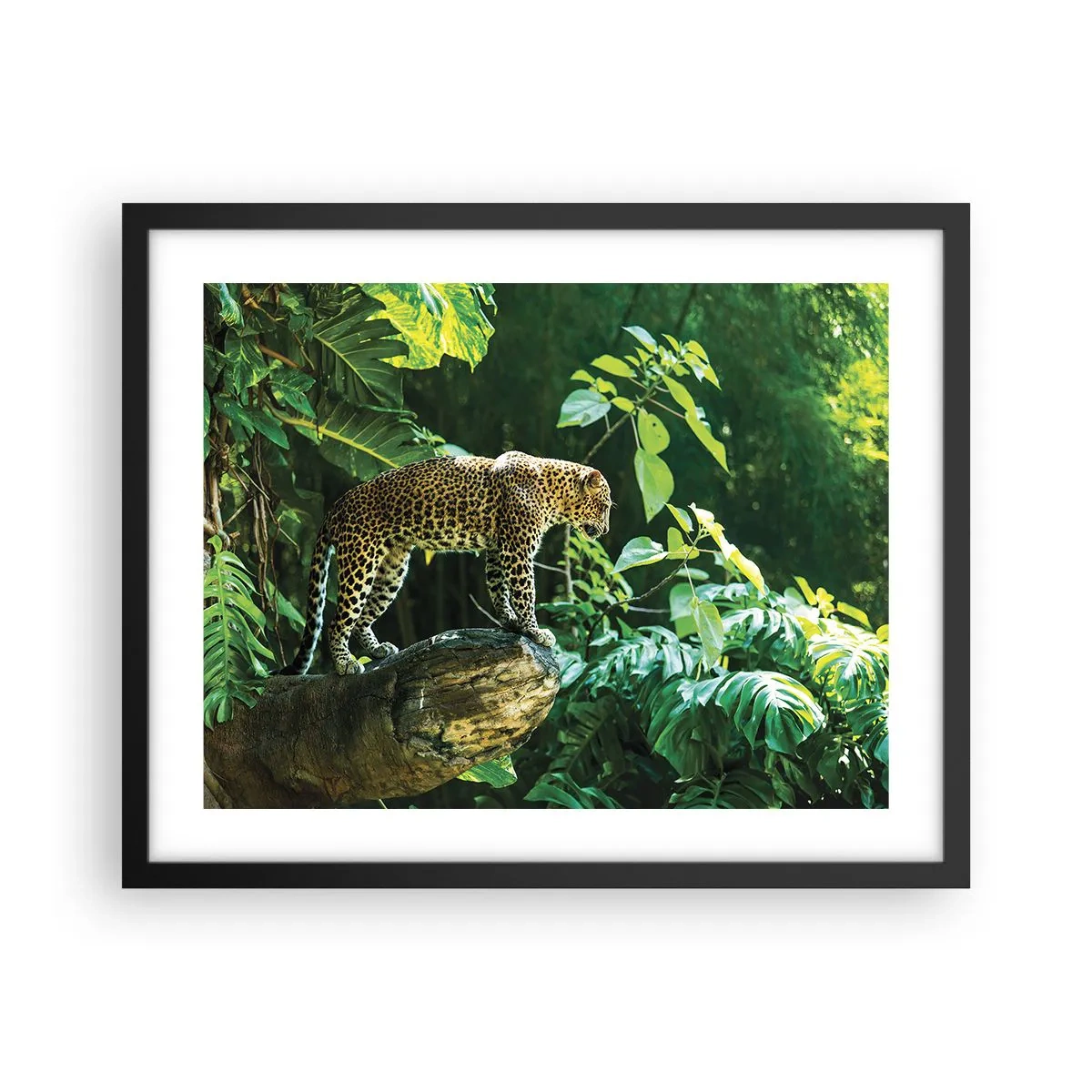 Plakat w czarnej ramie - Na łowy? - 50x40 cm