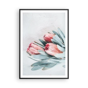 Plakat w czarnej ramie - Zawstydzone własną urodą - 70x100 cm