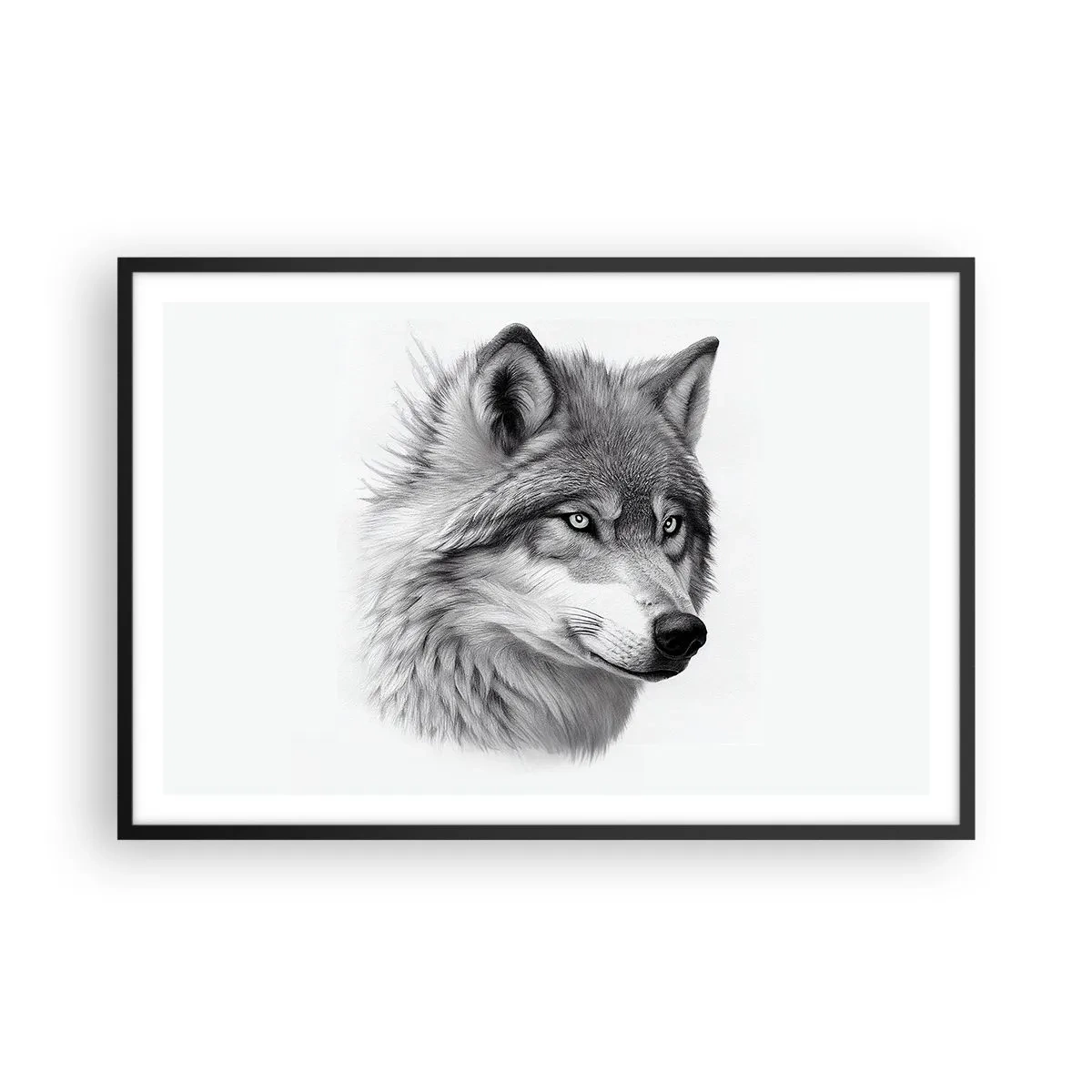 Plakat w czarnej ramie - Alfa – bez wątpienia - 91x61 cm