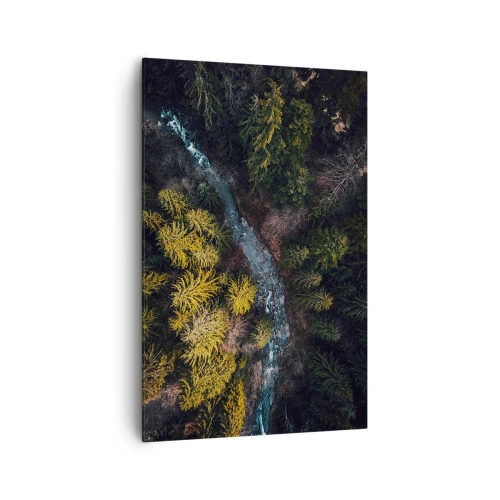 Obraz na płótnie - Widok z góry na las z wijącą się rzeką - 80x120cm - Szybko, coraz szybciej - Nowoczesna dekoracja ścienna do salonu i sypialni ARTTOR