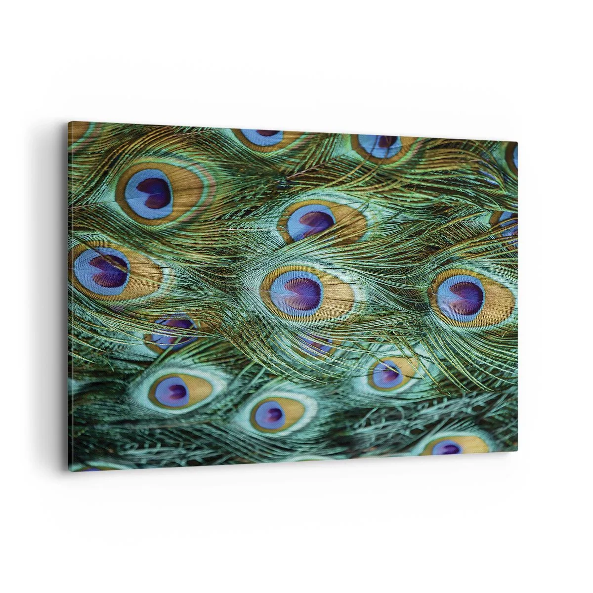 Obraz na płótnie - Detale pawich piór w soczystych kolorach - 100x70cm - Pawiookie spojrzenie - Nowoczesna dekoracja ścienna do salonu, kuchni i sypialni ARTTOR