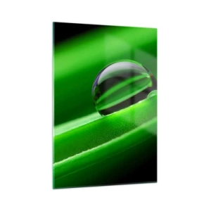 Obraz na szkle - Kropla rosy na zielonym liściu - 50x70cm - Życie z bliska - Nowoczesna dekoracja ścienna do salonu, kuchni i sypialni ARTTOR