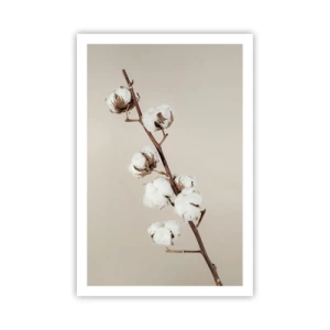 Plakat - U źródła miękkości - 61x91 cm