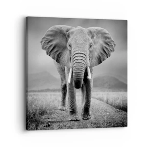 Obraz na płótnie - Gospodarz wita - 30x30 cm