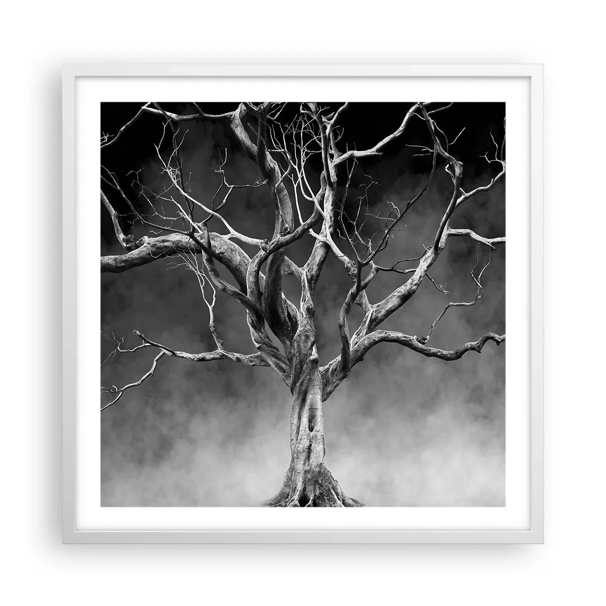 Plakat w białej ramie - Pierwotne i święte - 60x60 cm