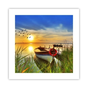 Plakat - Kormorany odlatują już - 40x40 cm