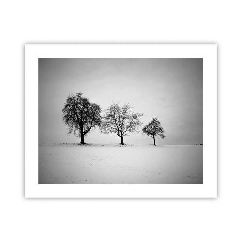 Plakat - O czym śnią? - 50x40 cm