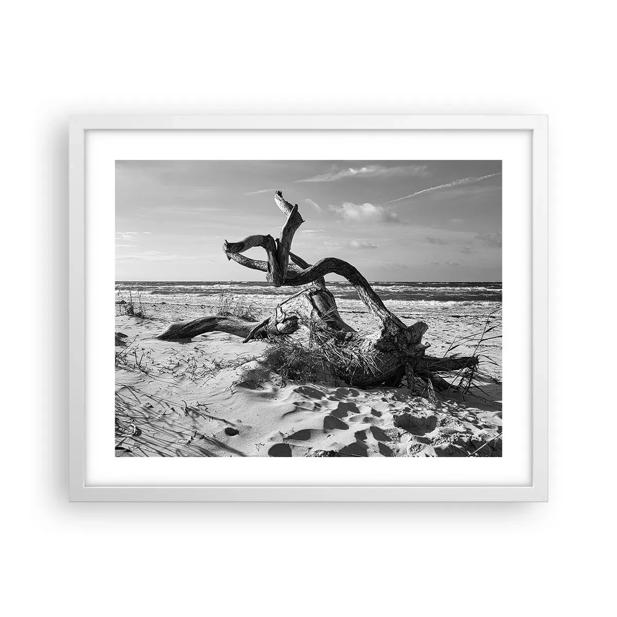 Plakat w białej ramie - Morska rzeźba - 50x40 cm
