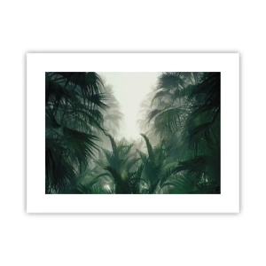 Plakat - Tropikalna tajemnica - 40x30 cm