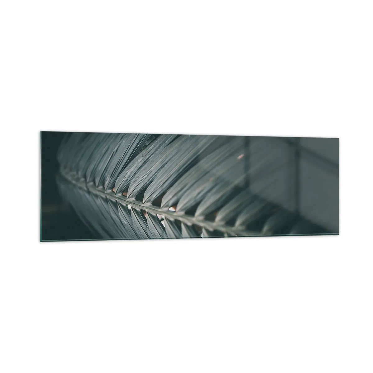 Obraz na szkle - Zbliżenie na detal liścia palmowego w ciemnej tonacji - 160x50cm - Precyzja natury - Nowoczesna dekoracja ścienna do salonu i sypialni ARTTOR
