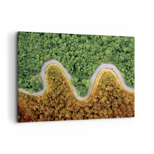 Obraz na płótnie - Zakręcona droga przez las widziana z lotu ptaka - 100x70cm - Granice i przełomy - Nowoczesna dekoracja ścienna do salonu, kuchni i sypialni ARTTOR