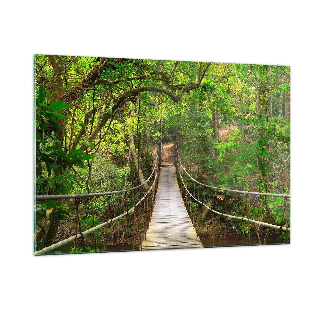 Obraz na szkle - Wiszący most w tropikalnym lesie - 120x80cm - Bo w ogrodzie rośnie pnącze - Nowoczesna dekoracja ścienna do salonu, kuchni i sypialni ARTTOR