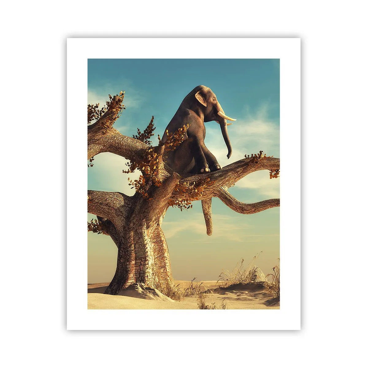 Plakat - Nowy punkt widzenia - 40x50 cm