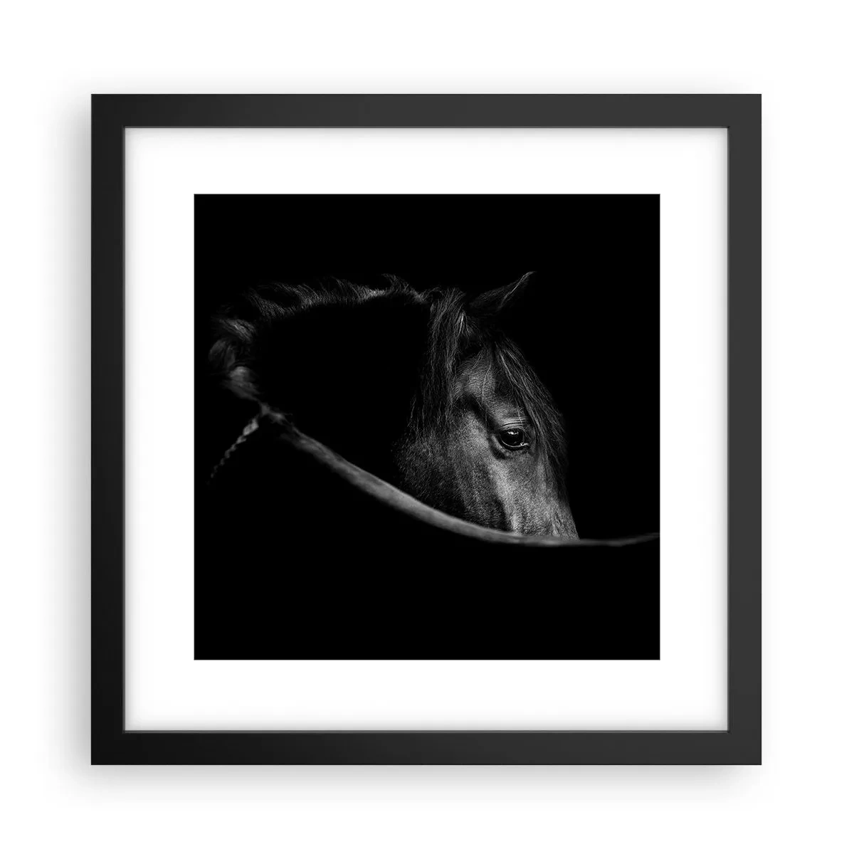 Plakat w czarnej ramie - Czarny książę - 30x30 cm