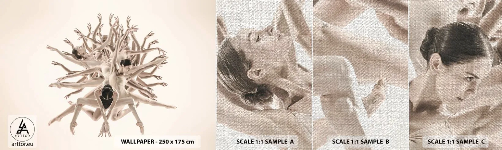 Fototapeta Próbka Premium Canvas - Rozkwitanie w tańcu - Abstrakcja, Sztuka, Balet - 100x30 cm