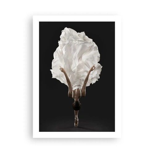 Plakat - Tancerka w białej sukni unosząca się w powietrzu, na czarnym tle - 50x70cm - Niezwykłe pas - Nowoczesna dekoracja ścienna do salonu, kuchni i sypialni ARTTOR