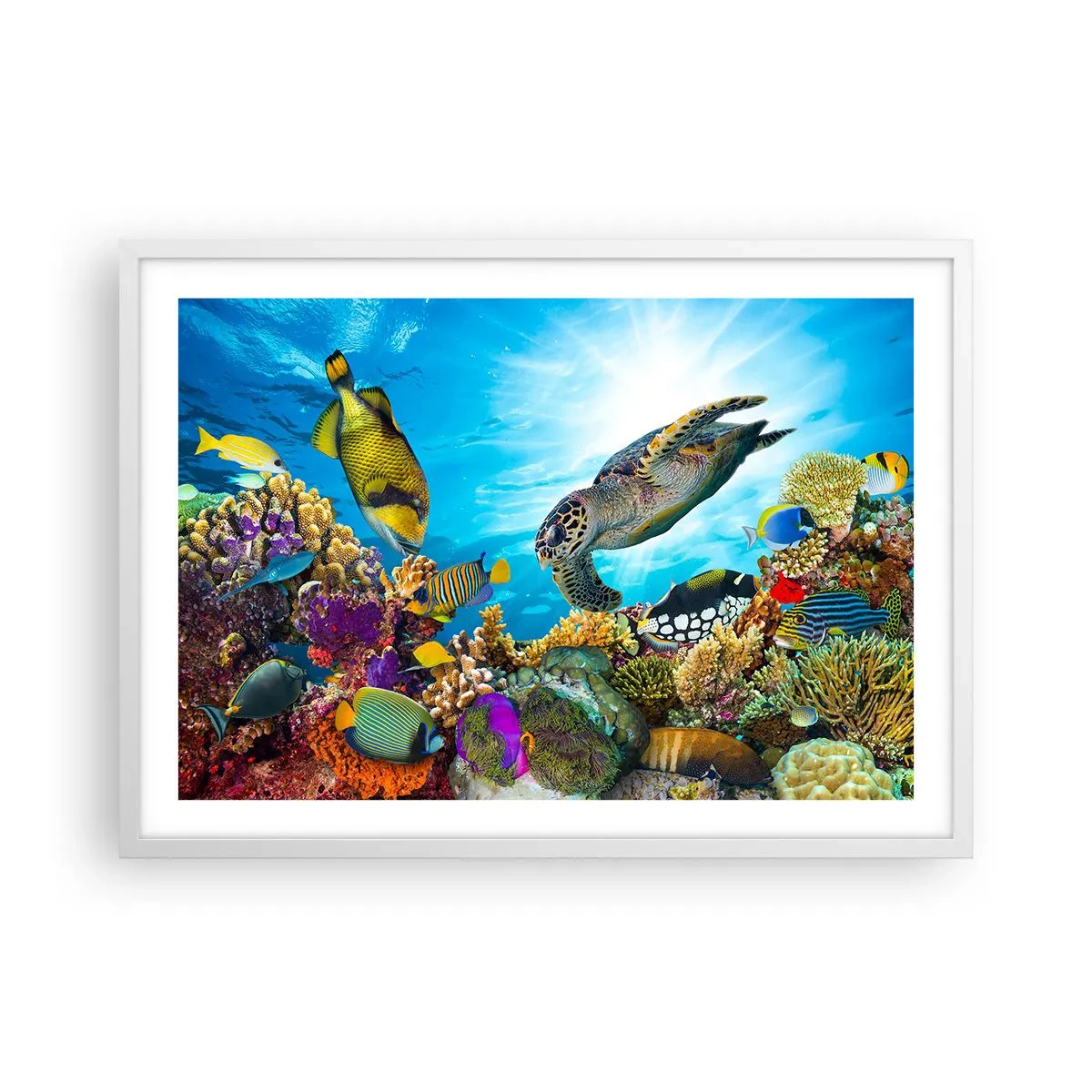 Plakat w białej ramie - Koralowa promenada - 70x50 cm