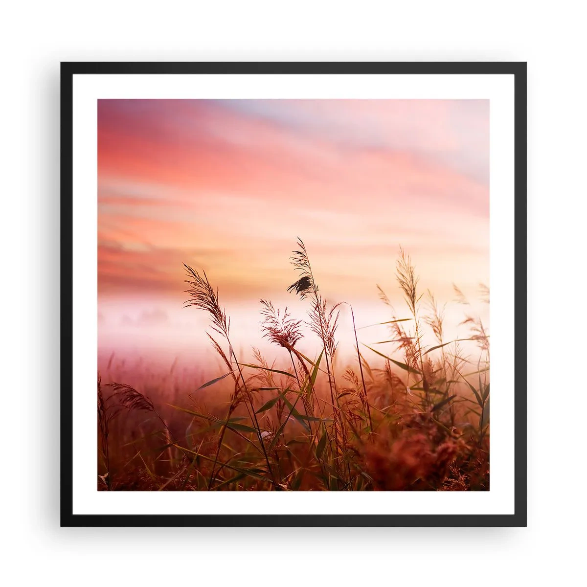Plakat w czarnej ramie - Latawce, dmuchawce, wiatr - 60x60 cm
