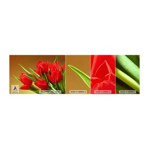 Fototapeta Próbka Standard Eco - Pęk wiosennej radości - Kwiaty, Tulipany, Bukiet Kwiatów - 100x30 cm