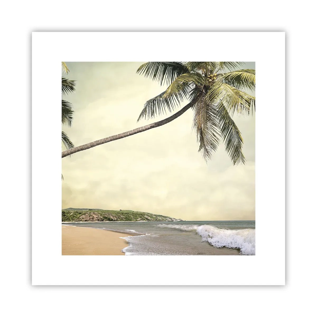 Plakat - Tropikalne marzenie - 30x30 cm