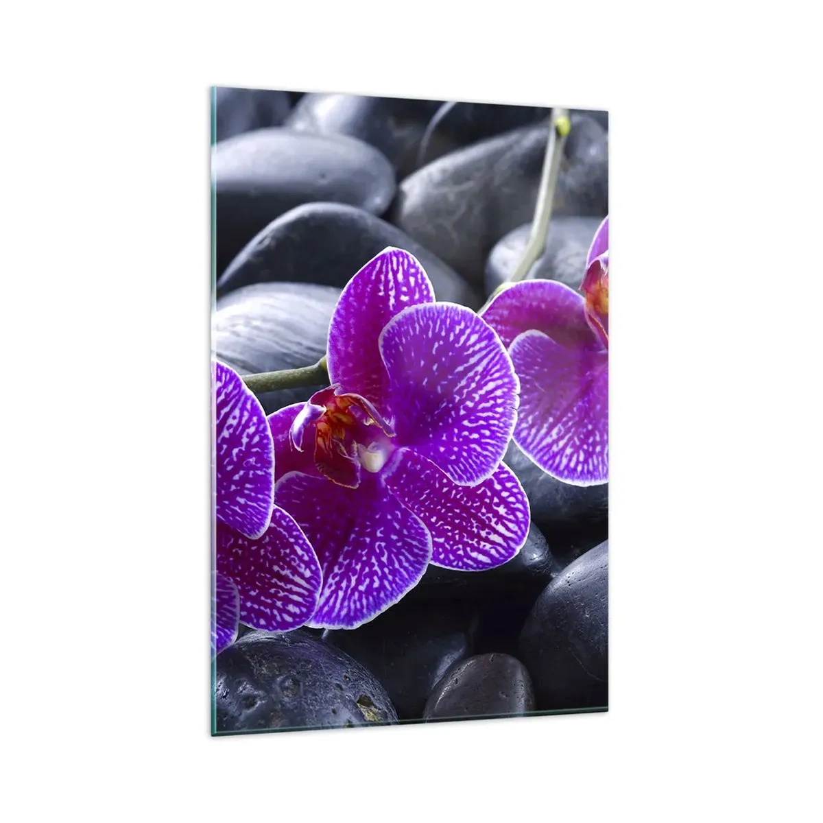 Obraz na szkle - Fioletowe orchidee na tle czarnych kamieni - 80x120cm - Kamienie pojaśniały z zachwytu - Nowoczesna dekoracja ścienna do salonu i sypialni ARTTOR