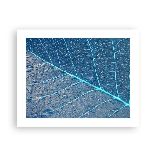 Plakat - Życie w błękicie - 50x40 cm