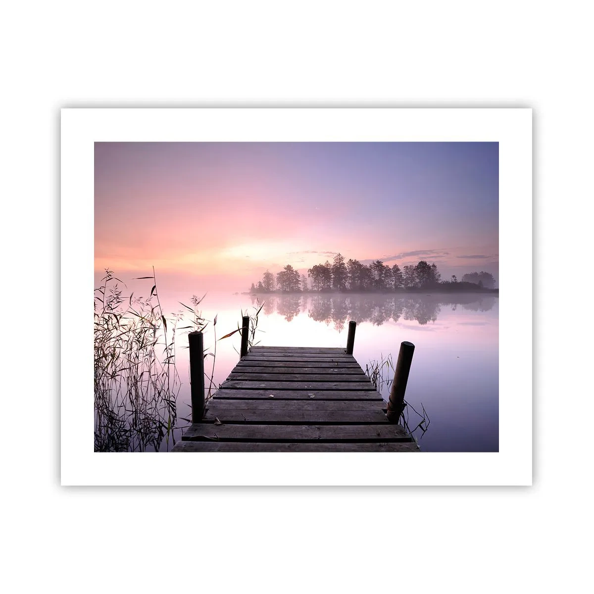 Plakat - Z liliowej mgły... - 50x40 cm