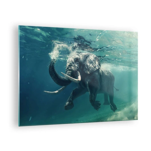 Obraz na szkle - Słoń pływający pod wodą w błękitnym oceanie - 70x50cm - Wszyscy lubią pływać - Nowoczesna dekoracja ścienna do salonu i sypialni ARTTOR