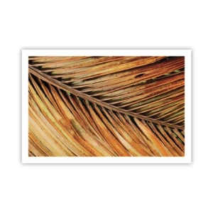 Plakat - Kokosowe złoto - 91x61 cm