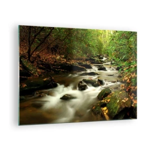 Obraz na szkle - Strumień w lesie otoczony kamieniami i liśćmi - 70x50cm - Jak płynne srebro - Nowoczesna dekoracja ścienna do salonu i sypialni ARTTOR