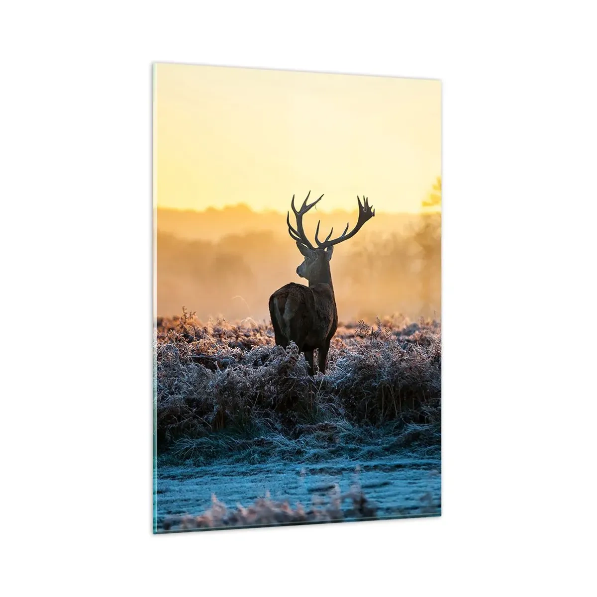 Obraz na szkle - Jeleń na mroźnej polanie o wschodzie słońca - 80x120cm - Koronowany na swoich włościach - Nowoczesna dekoracja ścienna do salonu i sypialni ARTTOR