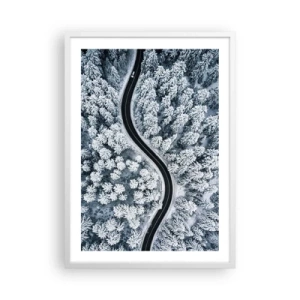 Plakat w białej ramie - Przez zimowy las - 50x70 cm