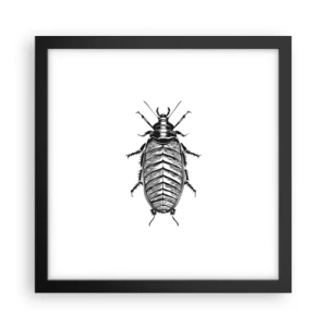 Plakat w czarnej ramie - Co za okaz! - 30x30 cm