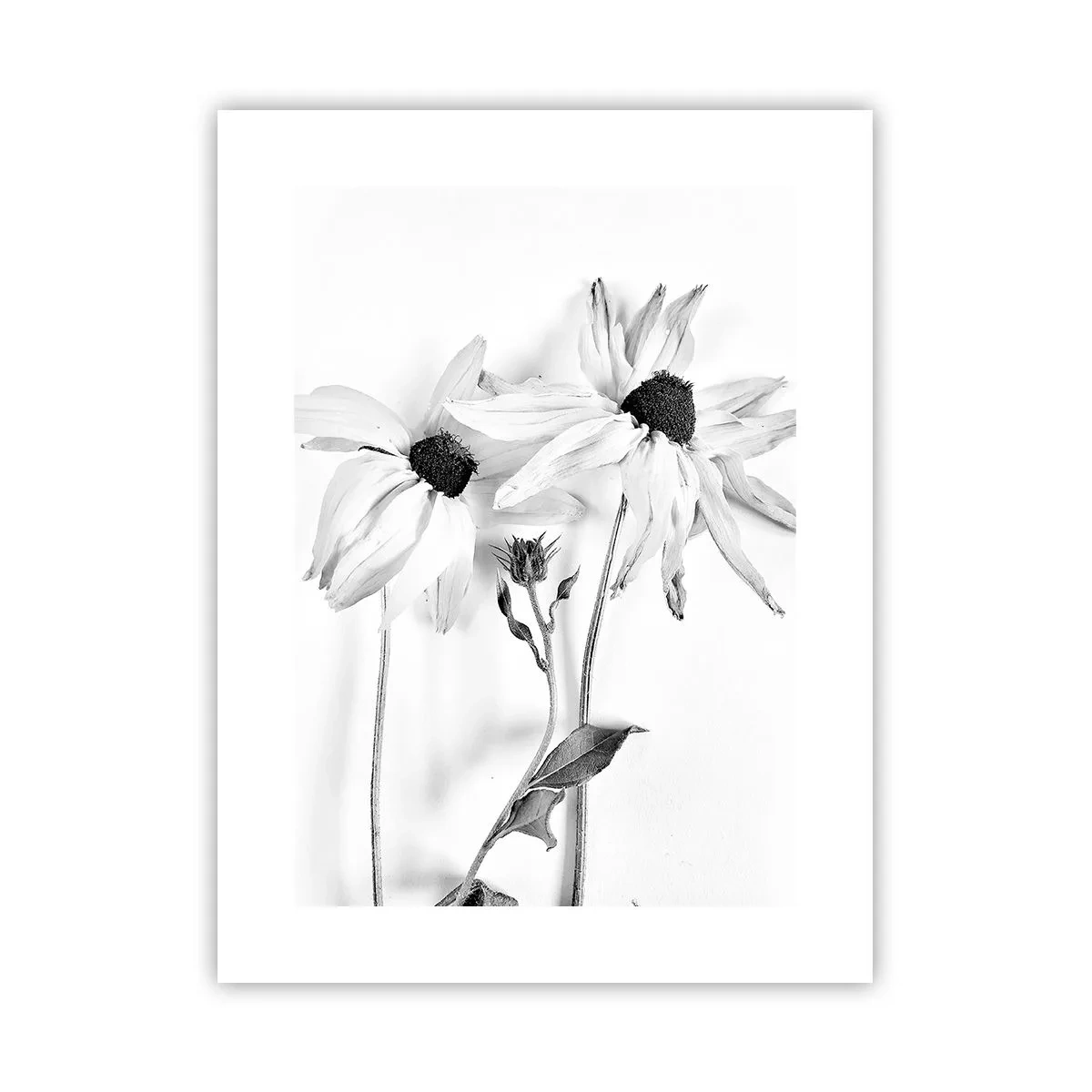 Plakat - Nikt nie chce być sam - 30x40 cm