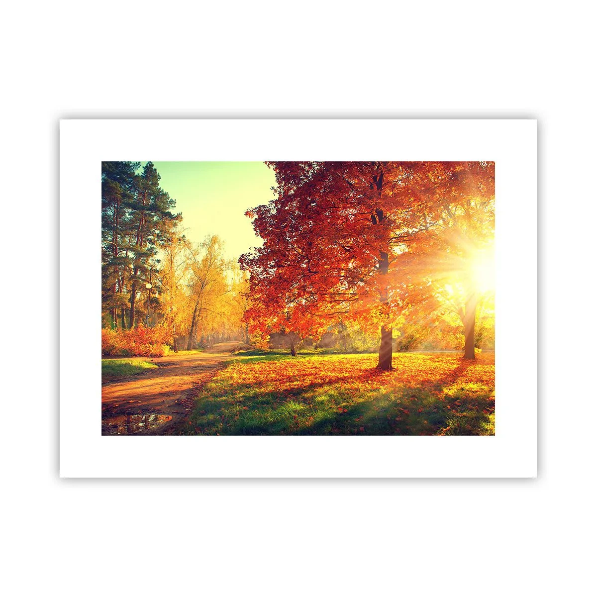 Plakat - Rude jest piękne - 40x30 cm