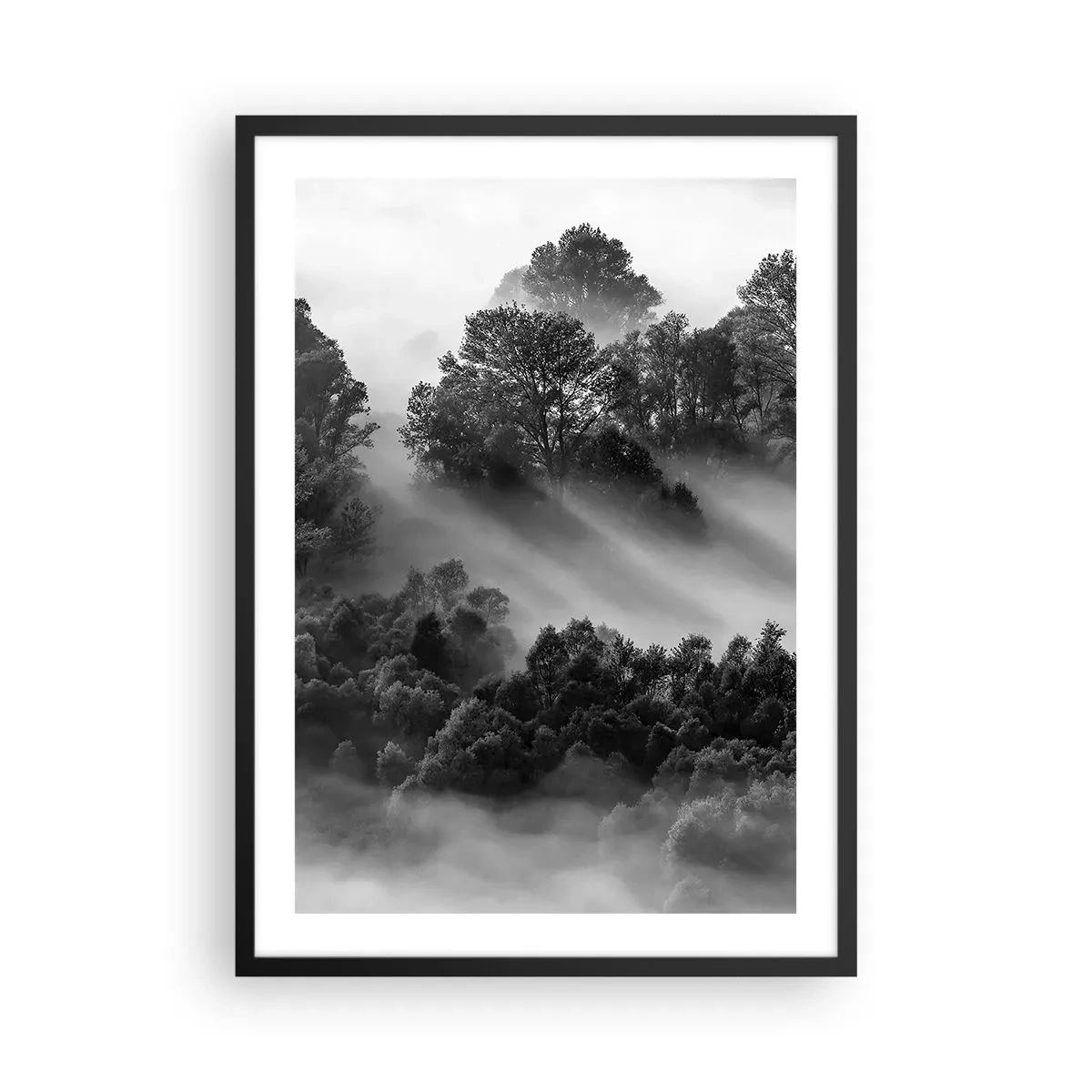 Plakat w czarnej ramie - Mglisty las w odcieniach czerni i bieli - 50x70cm - Wstający ze snu - Nowoczesna dekoracja ścienna do salonu i sypialni ARTTOR