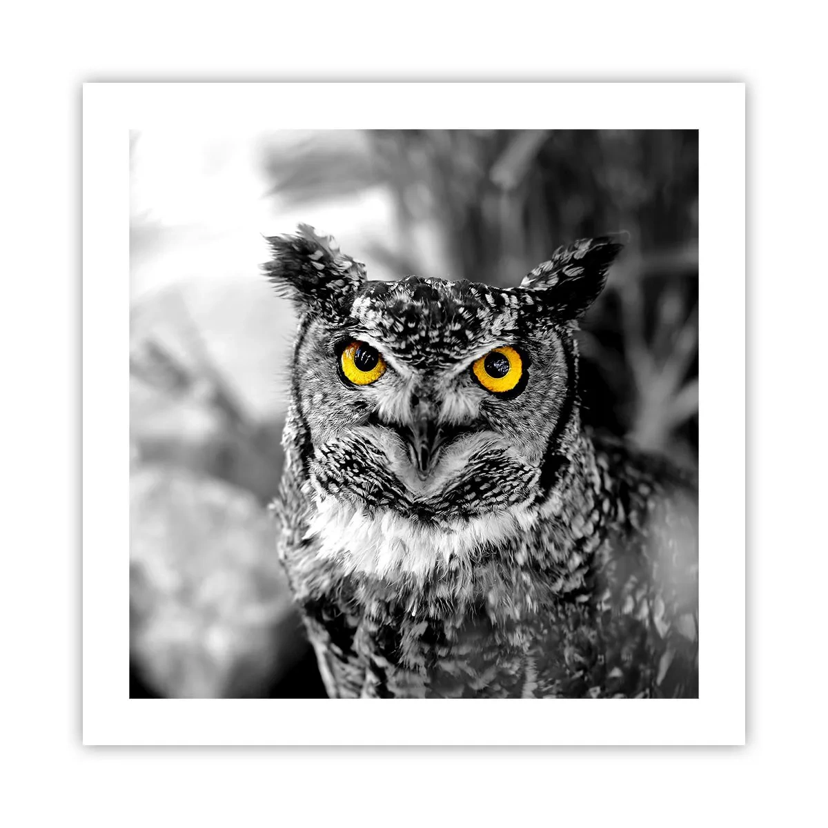 Plakat - Nic się nie ukryje - 50x50 cm
