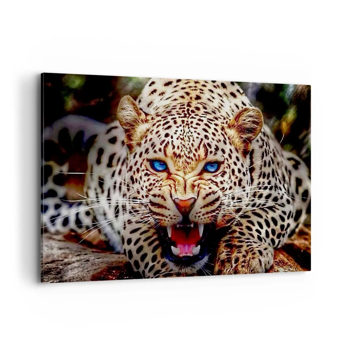Obraz na płótnie - Groźny leopard z intensywnie błękitnymi oczami - 100x70cm - Złość piękności nie szkodzi - Nowoczesna dekoracja ścienna do salonu, kuchni i sypialni ARTTOR
