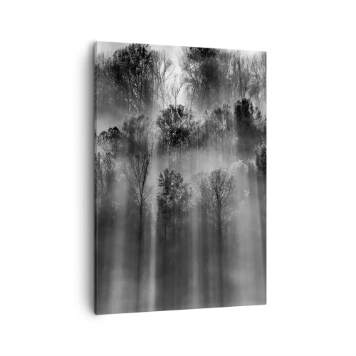 Obraz na płótnie - Czarno-biały las spowity mgłą z promieniami światła - 50x70cm - W strumieniach światła - Nowoczesna dekoracja ścienna do salonu, kuchni i sypialni ARTTOR