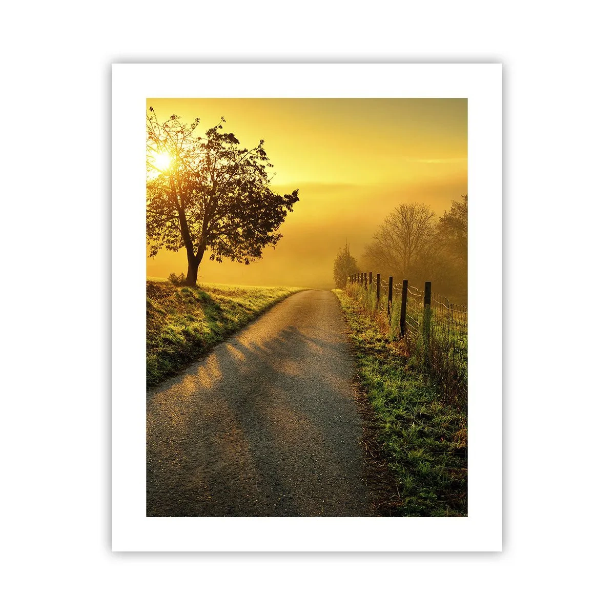 Plakat - Miodne popołudnie - 40x50 cm