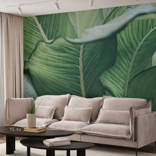 Fototapeta Standard Eco - Życie intensywnie zielone - Liście, Egzotyczny, Botaniczny - 500x350 cm