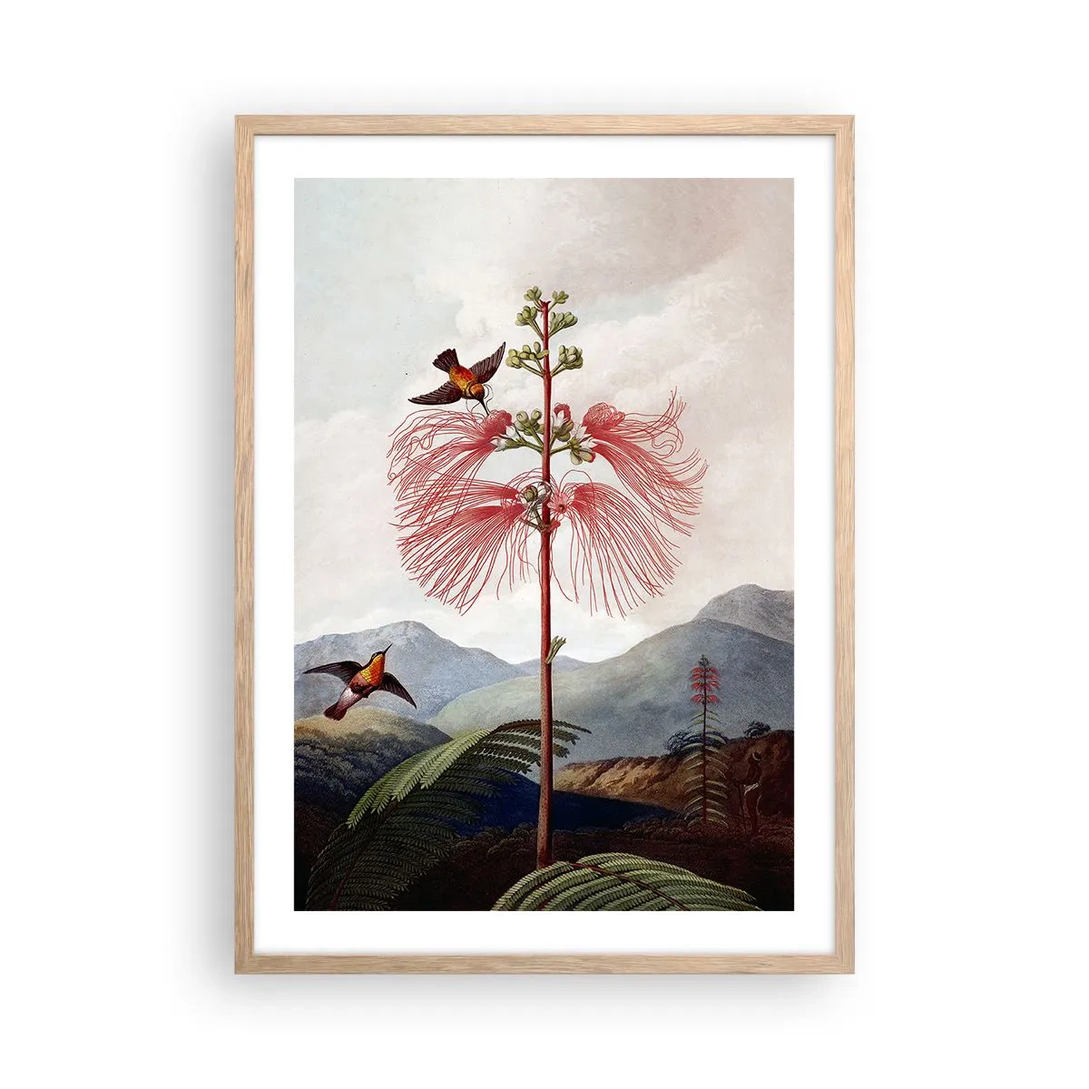 Plakat w ramie jasny dąb - W tropikalnym raju - 50x70 cm