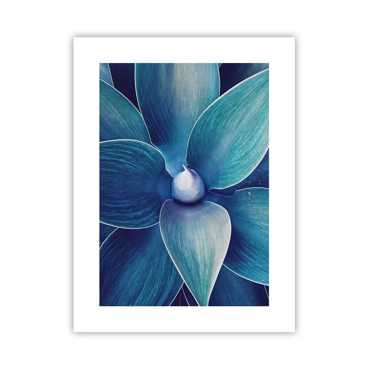 Plakat - Zbłękitniały od nieba - 30x40 cm