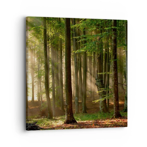 Obraz na płótnie - Rozpromieniony w wiosenny poranek - 30x30 cm