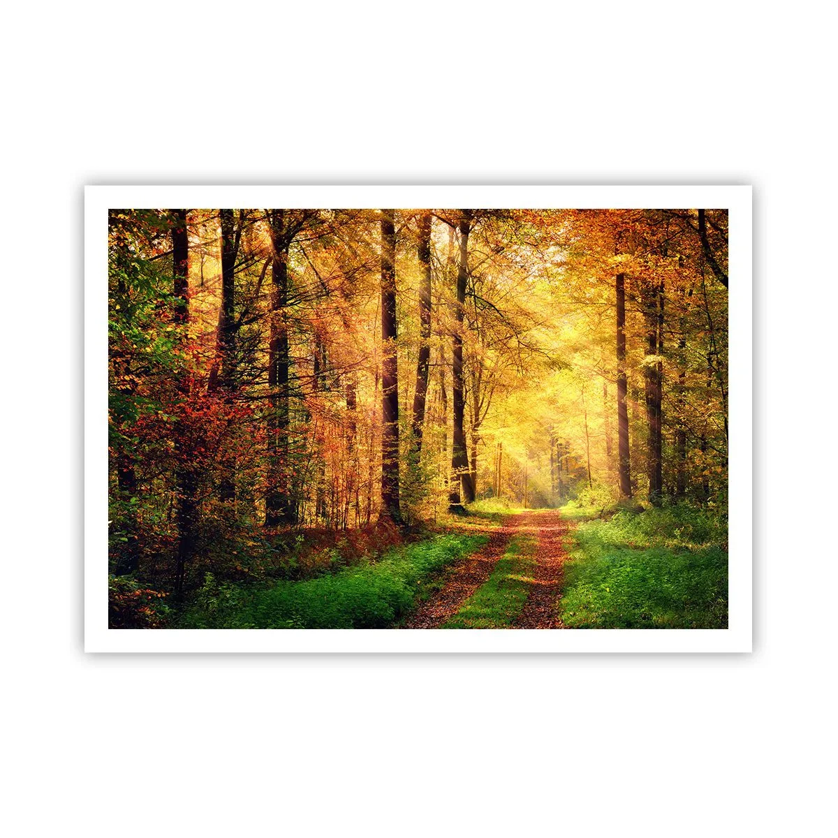 Plakat - Leśna ścieżka otoczona złotymi i zielonymi drzewami - 100x70cm - Leśno-złota cisza - Nowoczesna dekoracja ścienna do salonu i sypialni ARTTOR