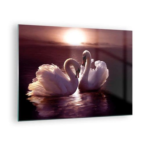 Obraz na szkle - Dwa łabędzie na wodzie w świetle zachodzącego słońca - 70x50cm - Aż śmierć nas nie rozłączy - Nowoczesna dekoracja ścienna do salonu i sypialni ARTTOR